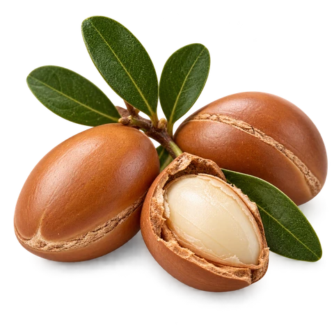 Argan bio