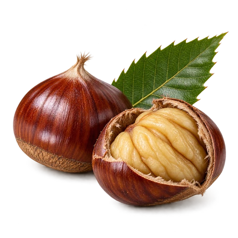 Castagna bio