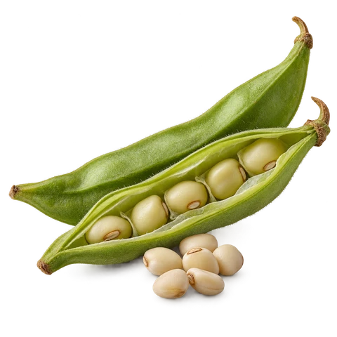 Guar